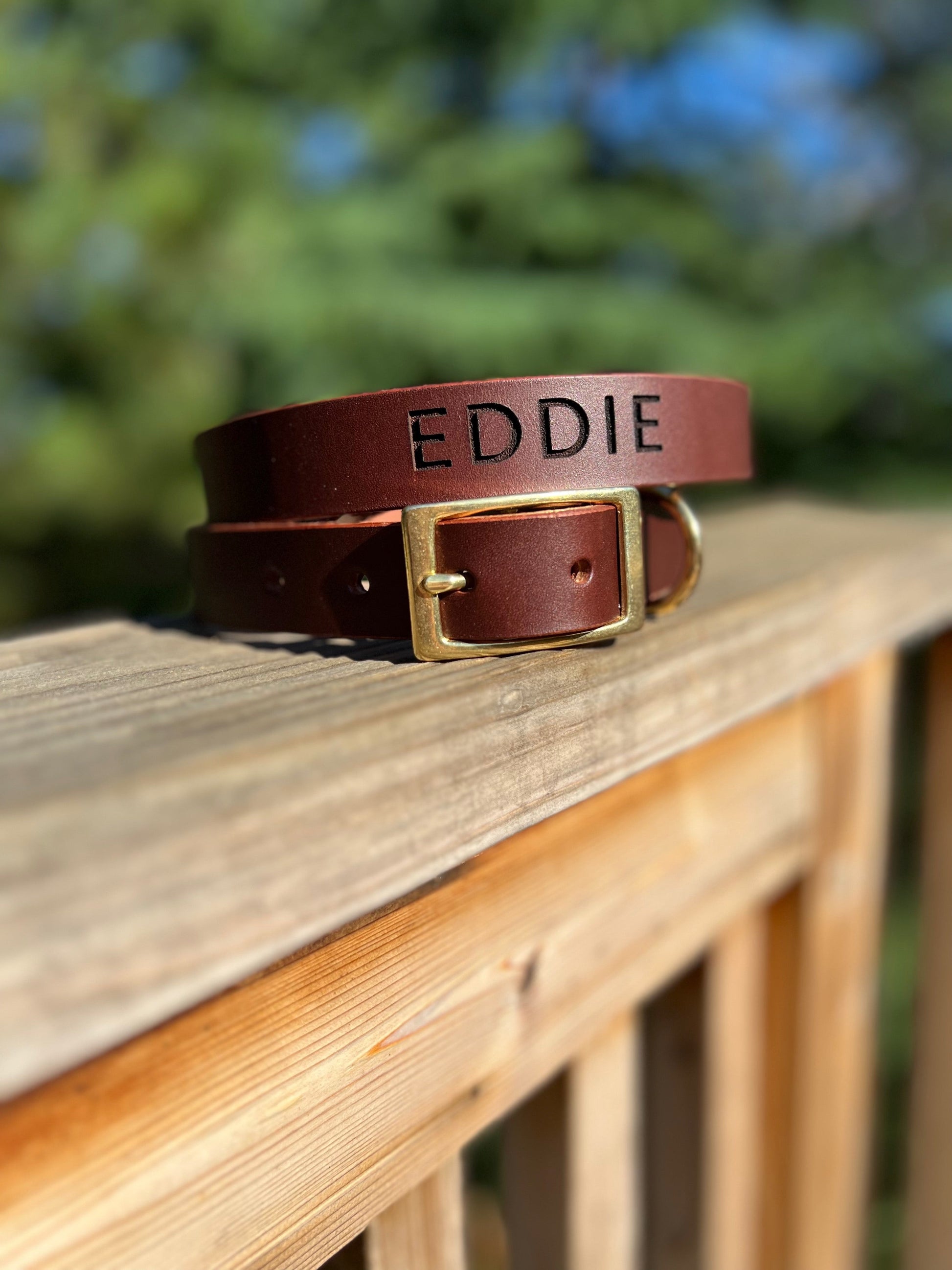 Leather Dog Collar with Large Name Engraved on back. Name is "Eddie" - Falls on back of dogs neck when worn.