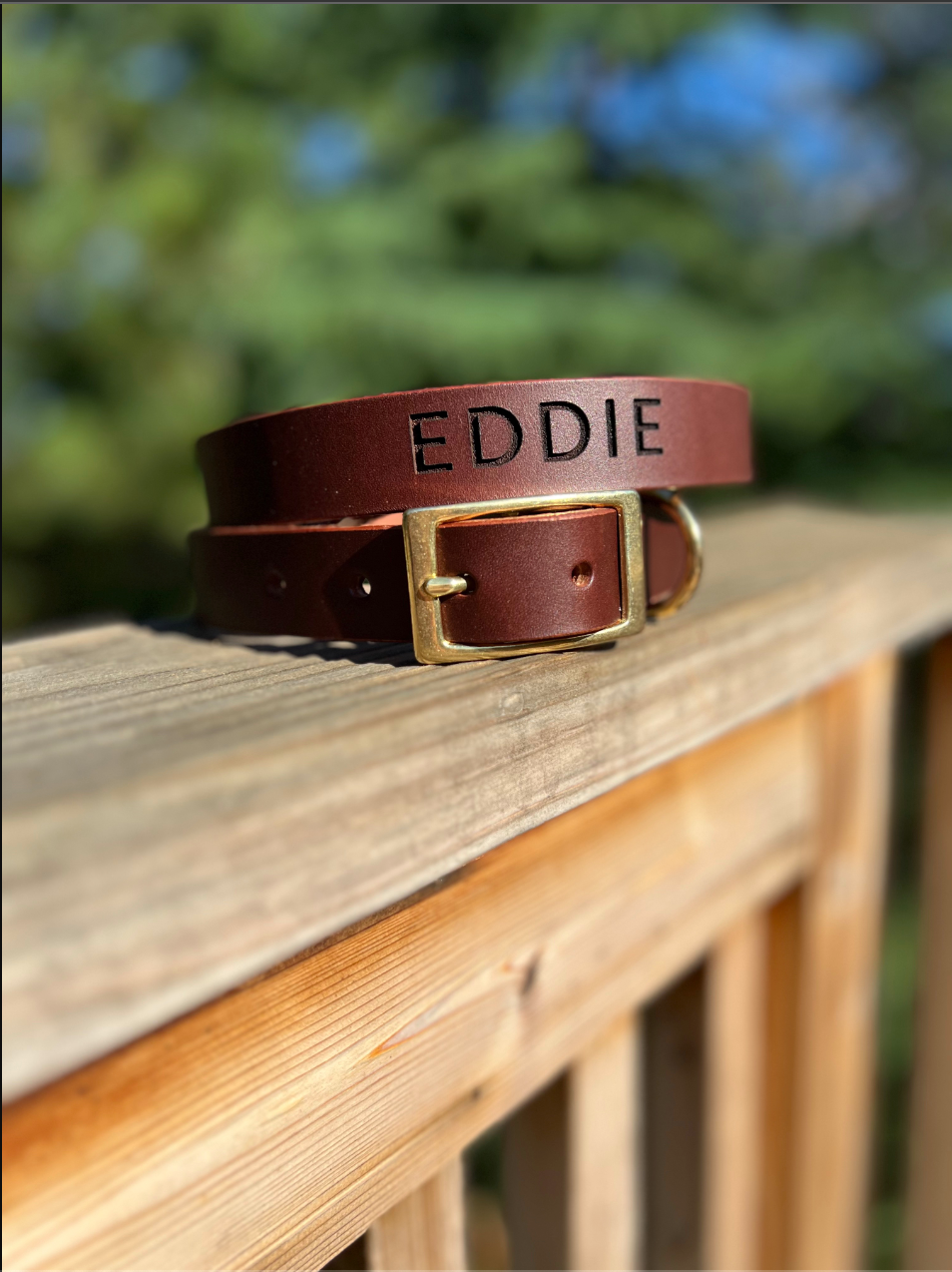 1" Leather Dog Collar