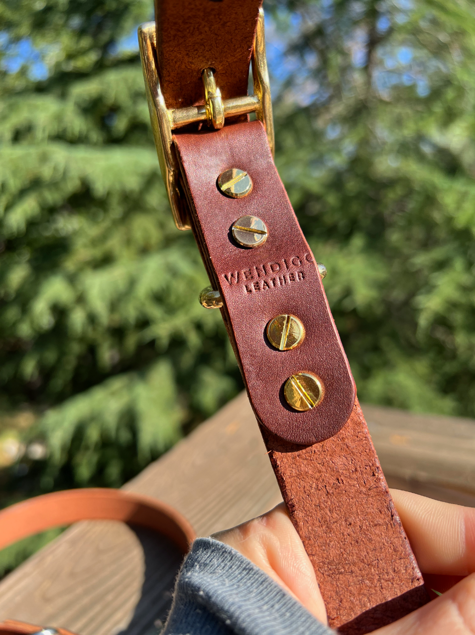 1" Leather Dog Collar